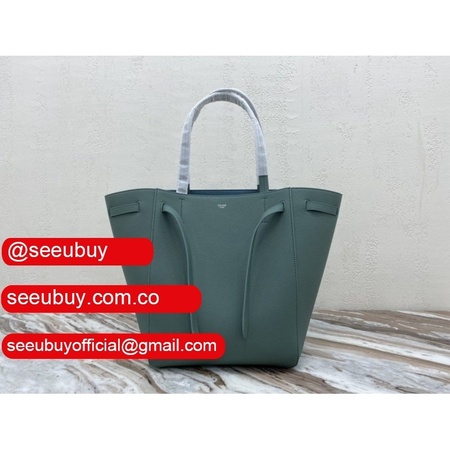 Replica Celine Light Green Small Cabas Phantom Bag