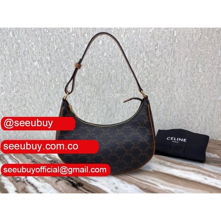 Celine Replica Ava Hobo Bag In Triomphe Canvas