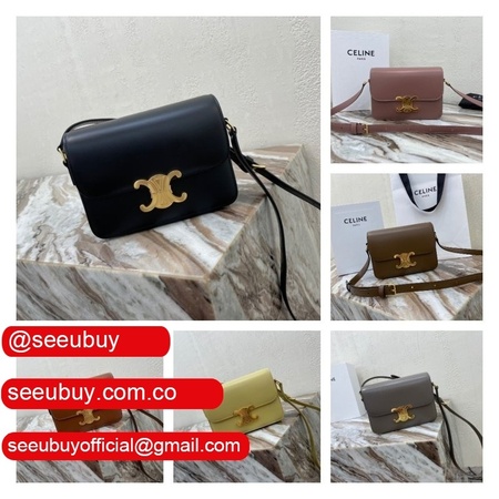 Celine Replica Knock Off Triomphe Micro Luggage 18.5 cm Handbags