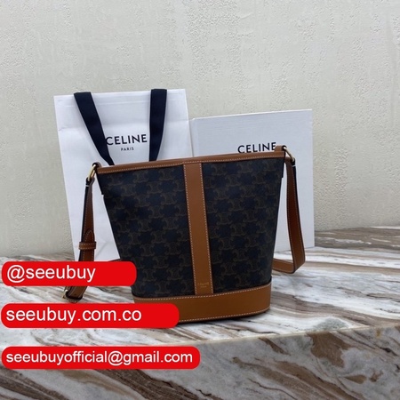 Celine Replica Teen Triomphe Bag In Triomphe Canvas