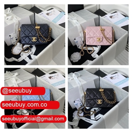 High Quality Designer Replica Mini AS2855 Flap Bag Iridescent Grained Calfskin & Gold-Tone Metal