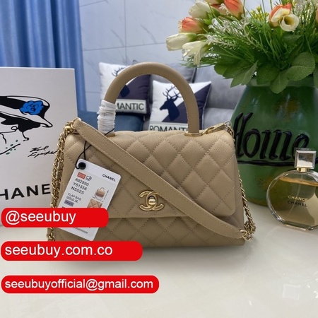 Apricot Cnitfr 2021 coco handle 14k A92990 replica bags