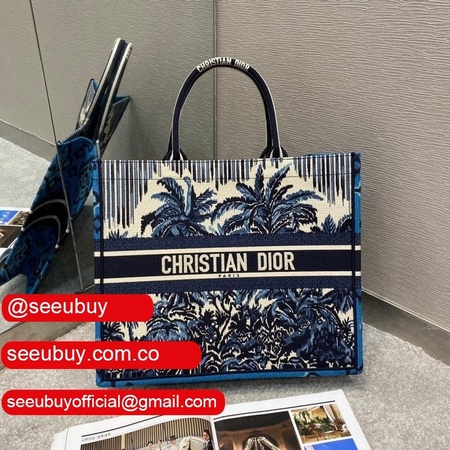 Best Quality Christian Dior Book Tote Bag