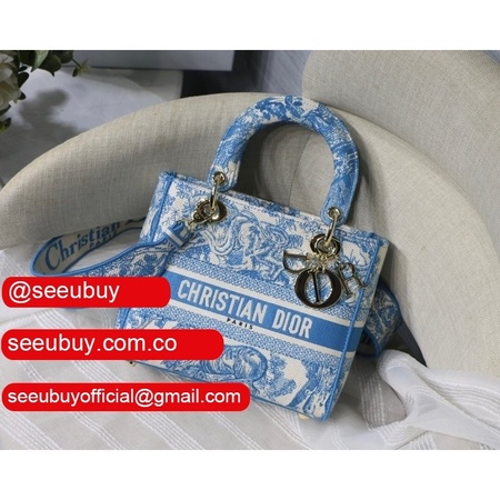 Practical And Versatile Replica Designer Lady Dior 24cm Bags Options