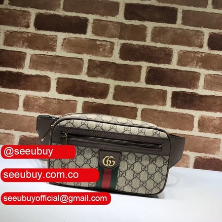 7 Star Gucci GG Belt Supreme Ophidia Bags for Men