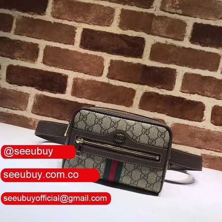 Best Gucci Ophidia GG Supreme small belt 517076 bag