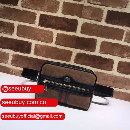 AAA+ Gucci High Quality Ophidia GG Supreme small belt 517076 bag