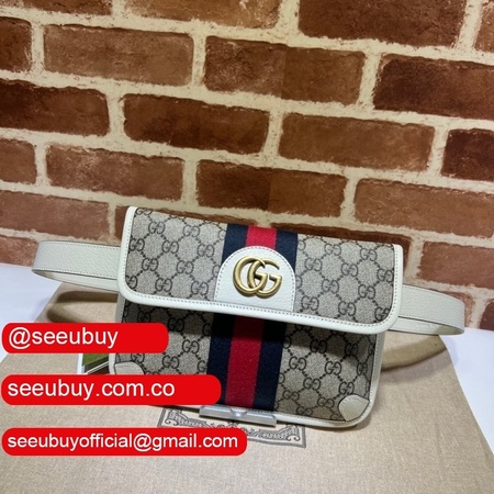 Best Quality Gucci Replica Ophidia belt bag 674081 GG supreme canvas