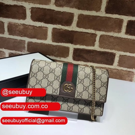 Gucci Luxury Ophidia GG chain bags 557695