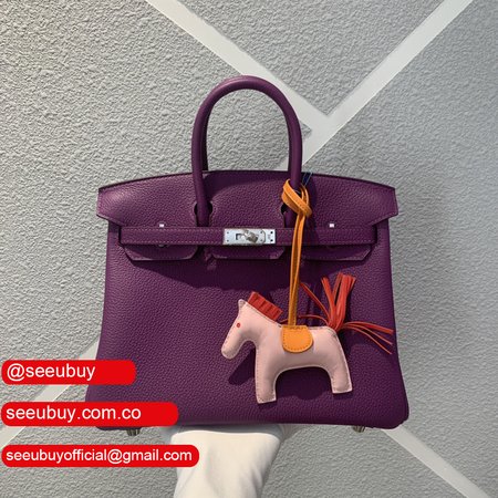 Hermes Handbag Birkin