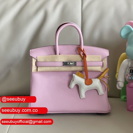 Hermes Handbag Birkin