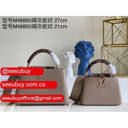 best replica quality capucines mm m48865 brown graypurse