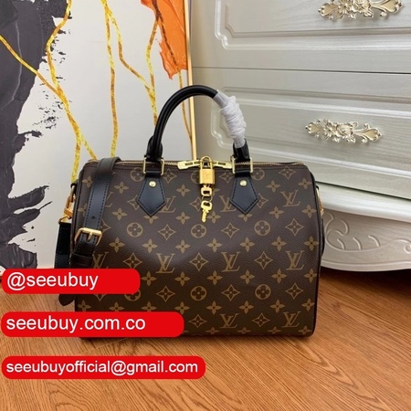 replica m45501 speedy 30 monogram brown